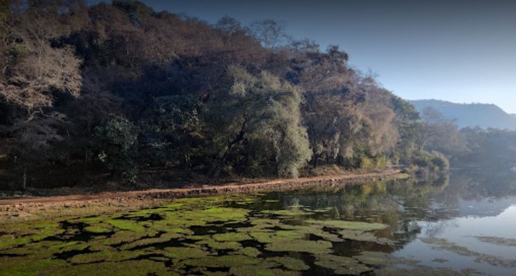 Kachida Valley rocky terrain in Ranthambore