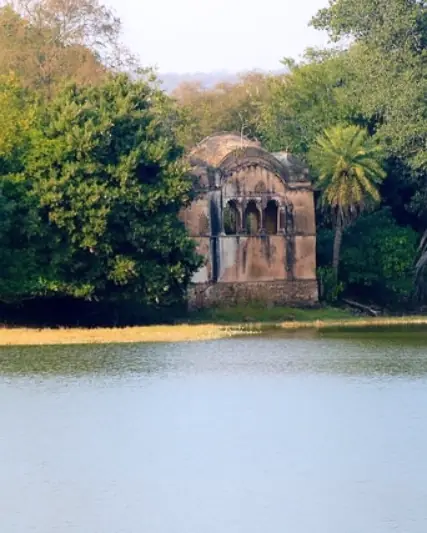 Raj Bagh Talao lake in Ranthambore National Park