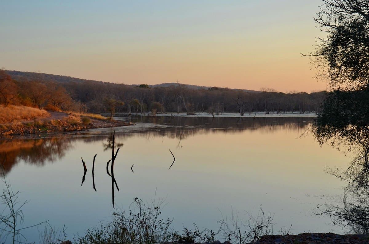 Surwal Lake at sunrise near Ranthambore