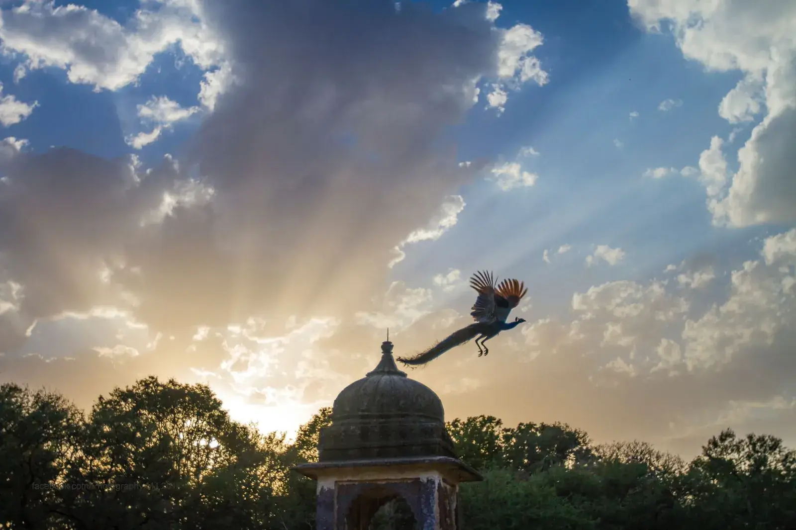 Jogi Mahal hunting lodge reflected in Padam Talao lake